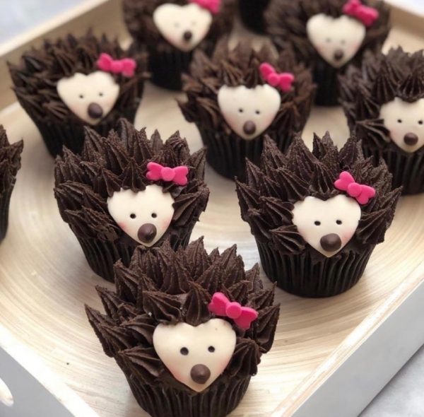 Hedgehog fondant cupcakes, hedgehog cupcakes, taylor made cakes